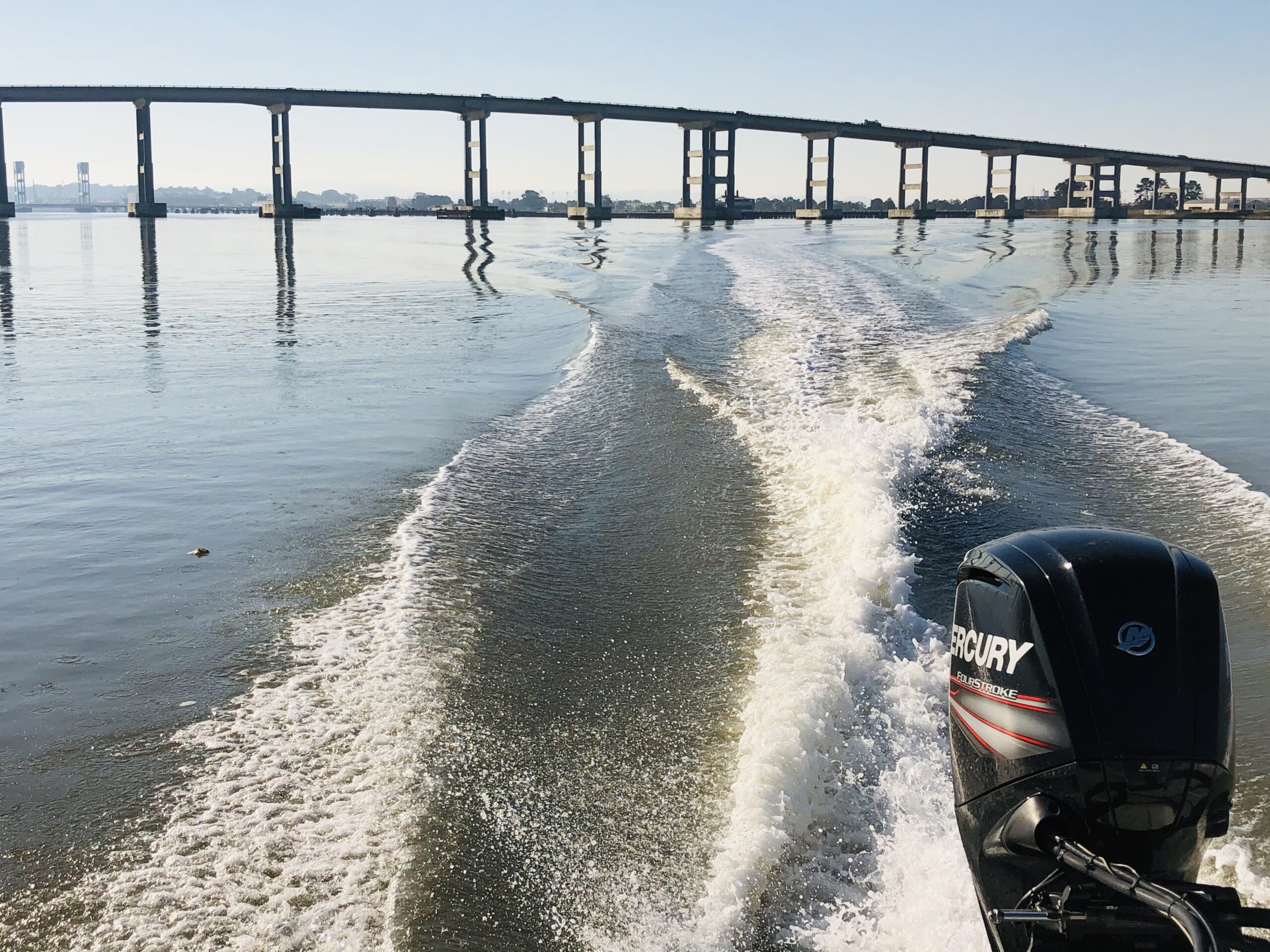 Napa River Cruises & Wetlands Tours in Summer